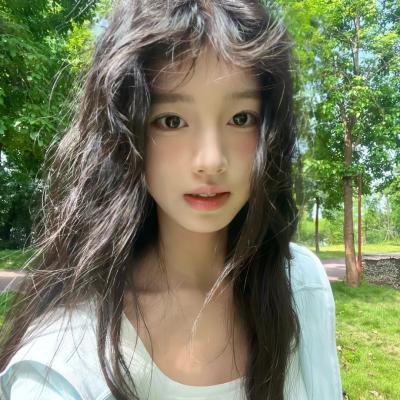 森林之境
